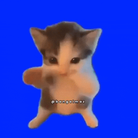 Kucing menari
